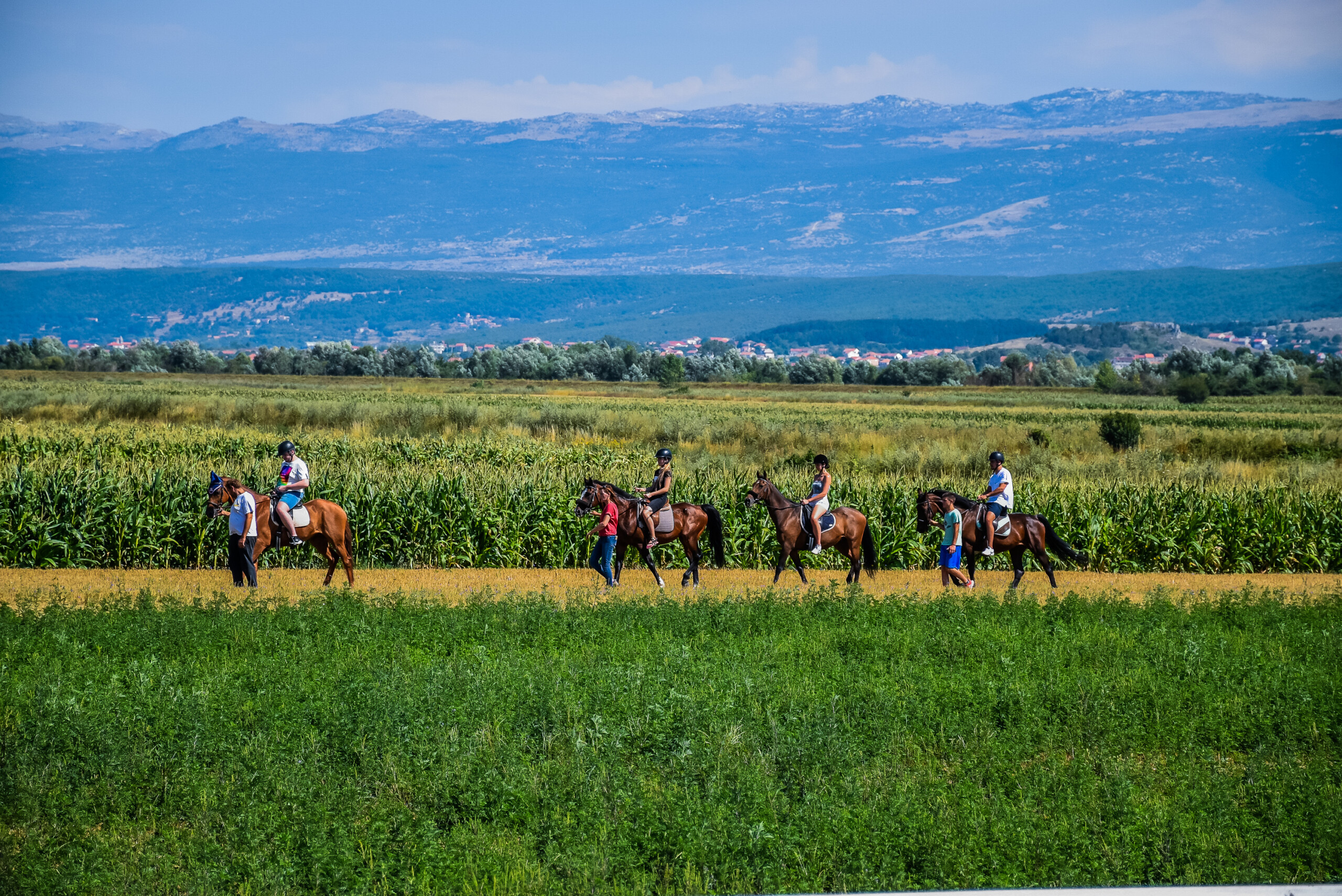 Horse riding 3